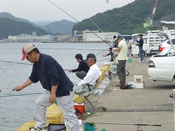 相生漁港での体験レポート写真02