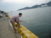 相生漁港での体験レポート写真03