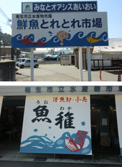 相生漁港での体験レポート写真06